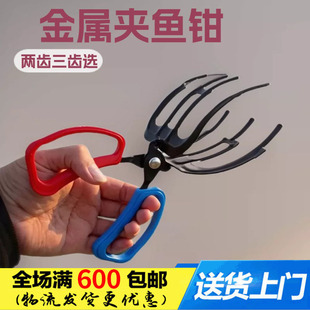 ���~�Q�Ӷ�N����ץ�~�����K�֊A�~�Q�ӷ����؝O�����ý���׽�~�A