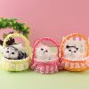 Realistic nail sequins, basket, animal model, decorations, cat