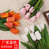 Quality moisturizing realistic photography props, home decor