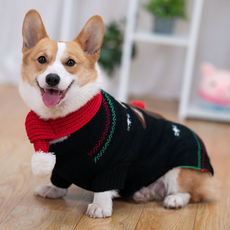 Padded Coat Image 3