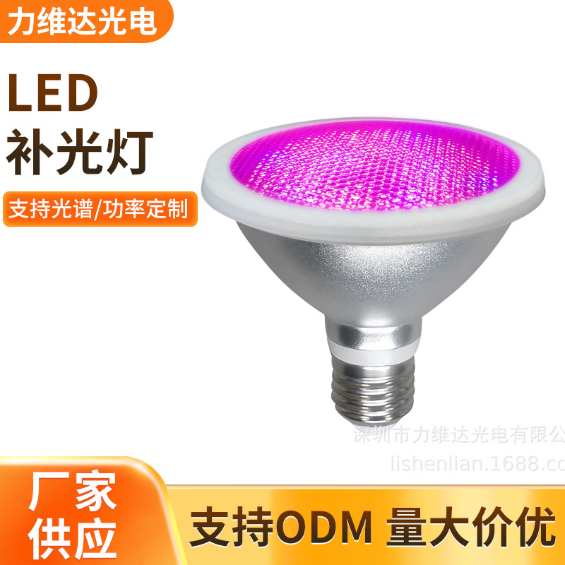ҶPar30ֲ12Wڶ⻨ֲLED