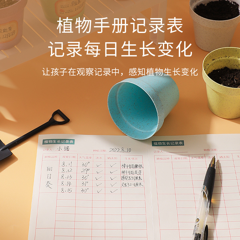 Planta de mesa para niños mini plantas verdes creativas pequeñas plantas de fresa girasol al por mayor