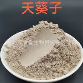 天葵子粉正品中药粉专业中药材超微粉加工中药配方磨粉超低温磨粉