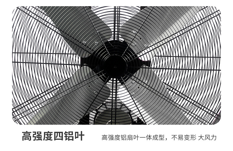 黑风扇_10.jpg
