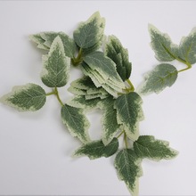 ������~�����~�� �Pβ�ݲ�˹�~ ��c�ػ��������b� �����