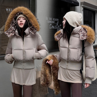 �ɲ�ж��W�������@�����\ë�I���¶̿������޷�Ů����2026���¿�