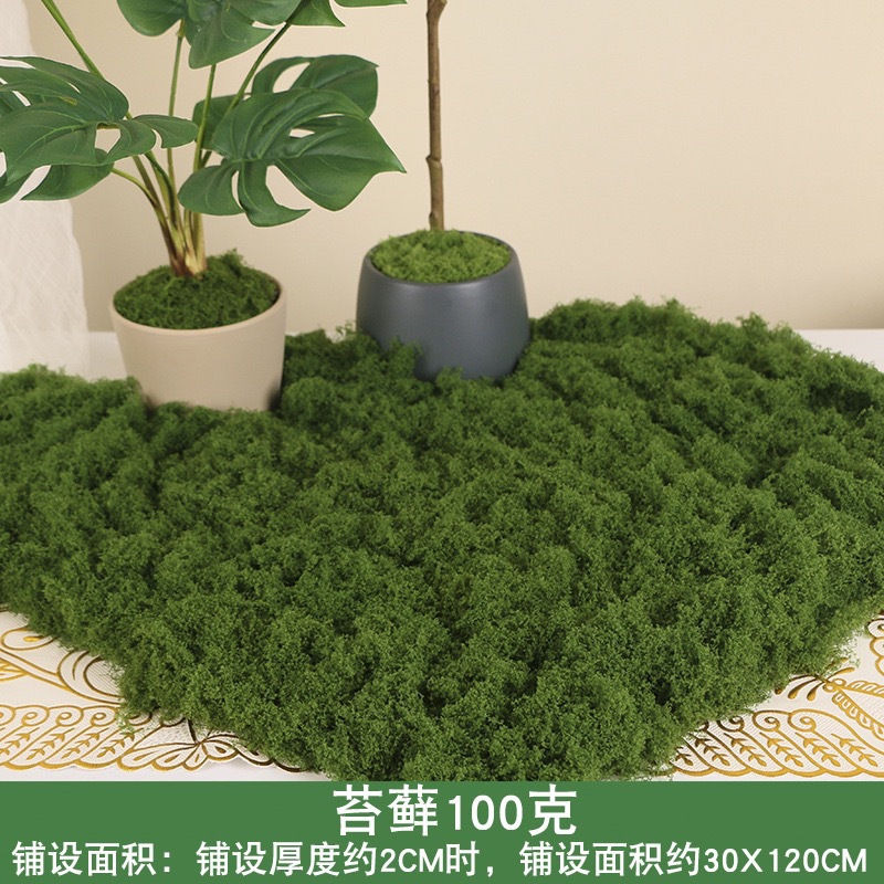 짙은 녹색 이끼 100g