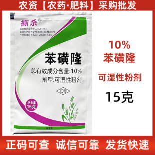 10%����¡���݄� С������݄� ����~�s�� ����¡15��