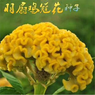 �u�ڻ��N���^�p���ܷN�Ѵ����ļ����^�p�����u�ڻ����̨ͥԺ����
