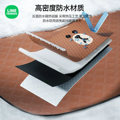 Frost and Snow Protection, Front Windshield: Car snow shield