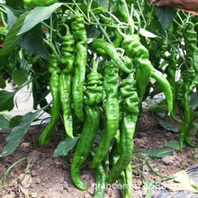 ߲˷NԭbļNͥԺ̨rݽz챡ƤN