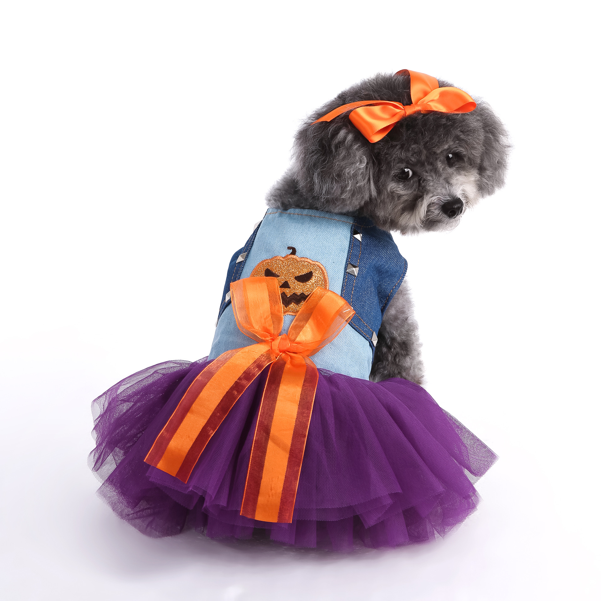 Otoño y invierno Halloween ropa de mascotas ropa de perro ropa de gato ropa de ropa casual ropa de calabaza curiosa image 1