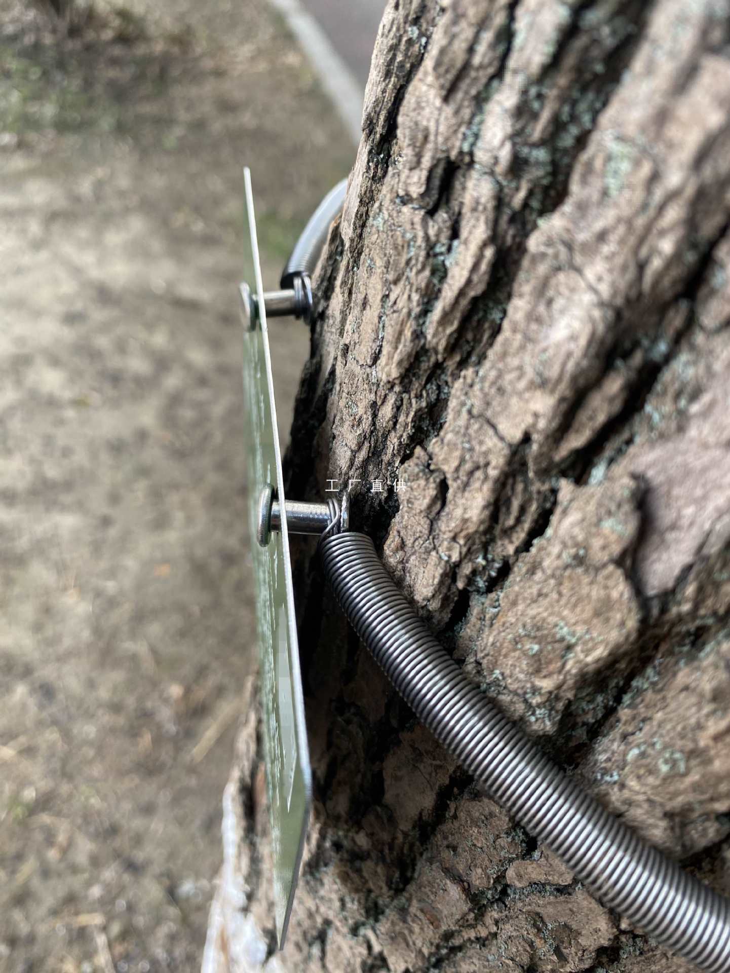 树牌弹簧拉簧挂绳挂链304不锈钢材质可伸缩树树木展示牌定 制