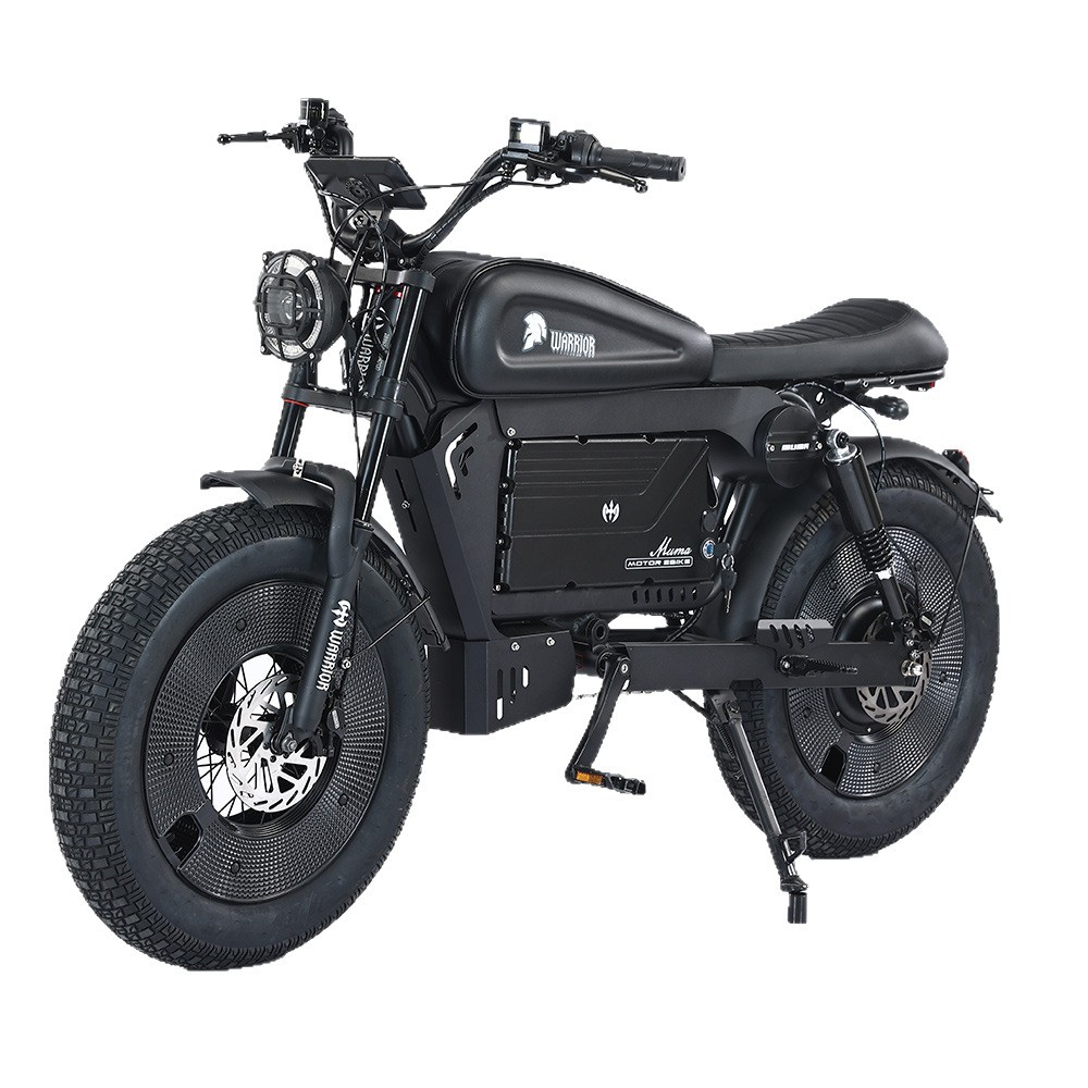 Bicicletas eléctricas de exportación rusa de 20 pulgadas de motor de alta potencia de 140 km de autonomía de Amazon image 5