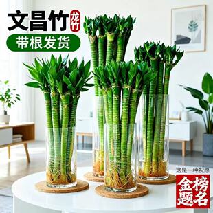 �����Ĳ����F������ˮ��ֲ���^���������҃ȿ͏d���ԾGֲ���B