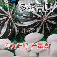 �����ϹϷN�ӷN�ь��T�a�Ѹ߮aʳ�����������JƬ������׹��ӷN��