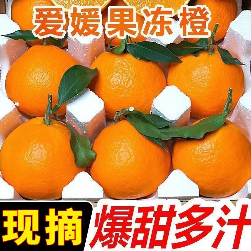 爱媛果冻橙38号新鲜水果橙子整箱现货现发当季爆甜薄皮手剥