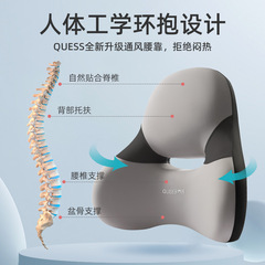 Qiao Style Car Accessories 2022 Leading Headrest and Waist Support 105054