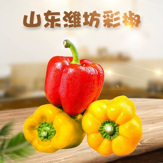 山东潍坊红黄绿三色彩椒 代发3/5斤水果甜辣椒当季新鲜蔬菜甜椒