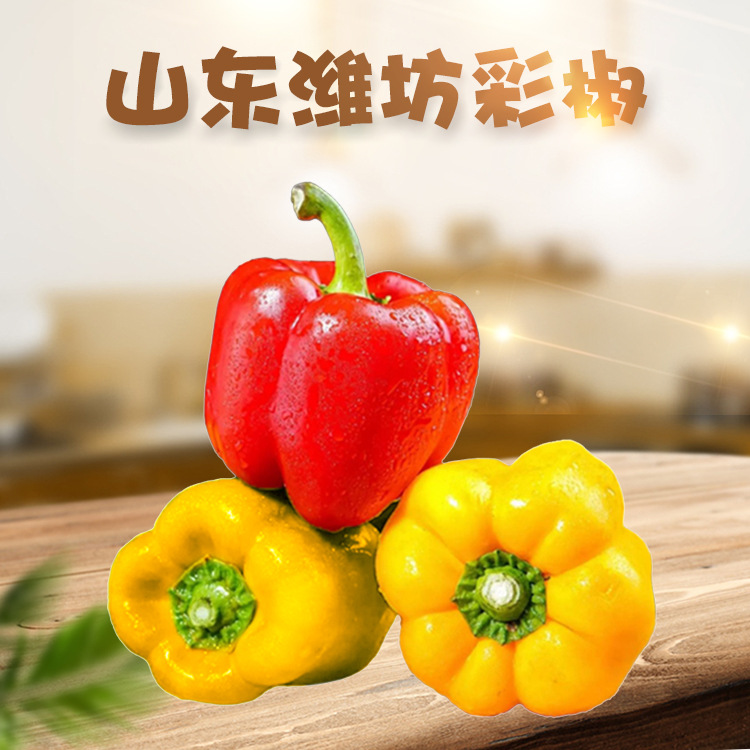 山东潍坊彩椒 代发3/5斤彩椒五彩水果甜辣椒黄色辣椒当季新鲜蔬菜