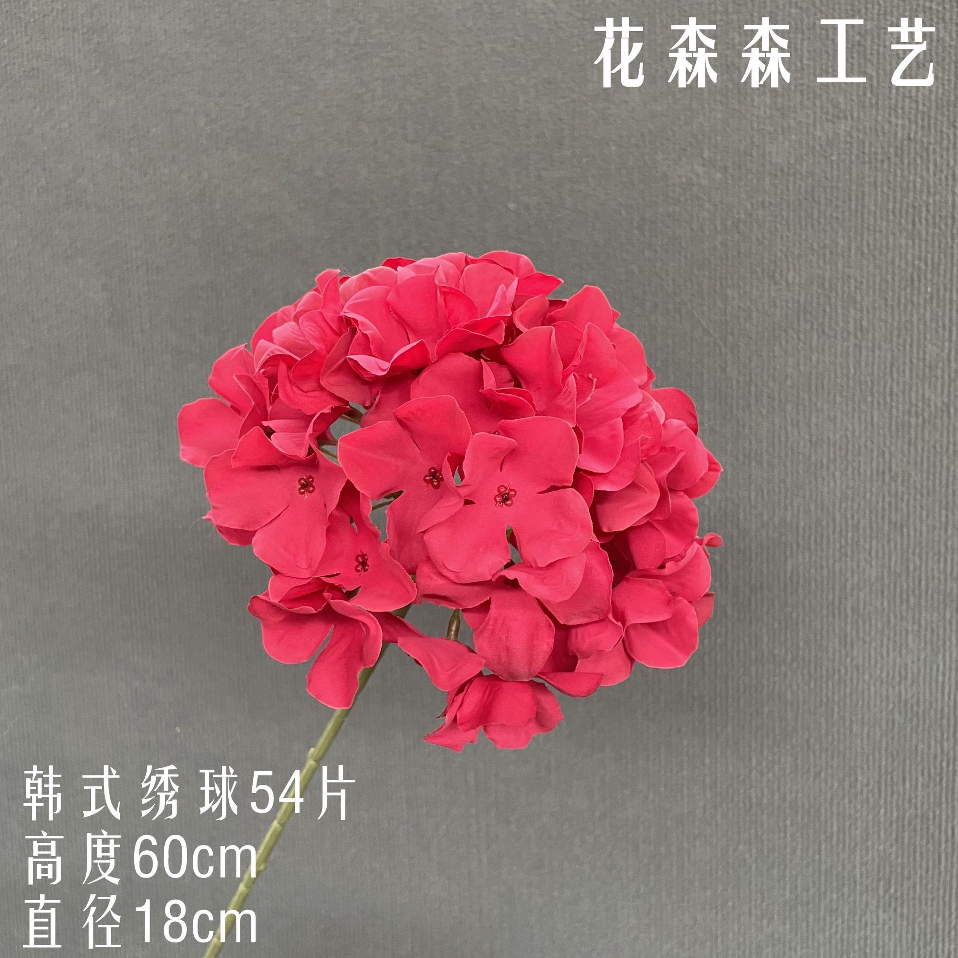 한국 수국 200628