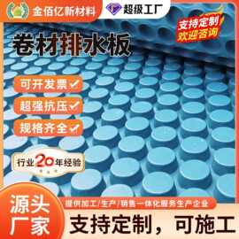 塑料排水板 屋顶绿化车库顶板疏水板 地下室hdpe凹凸滤水板厂家