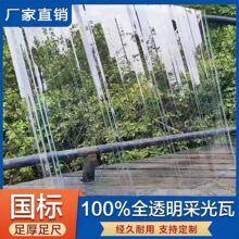 ���Apcȫ͸���ɹ���1050����������Ƭ������������͸����֬���