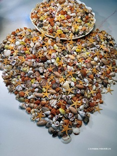 ����ؐ�� �oȾɫ �ɿ�؛��22�N��Сؐ�������ղؘ˱��ֹ��~��΢ؐ