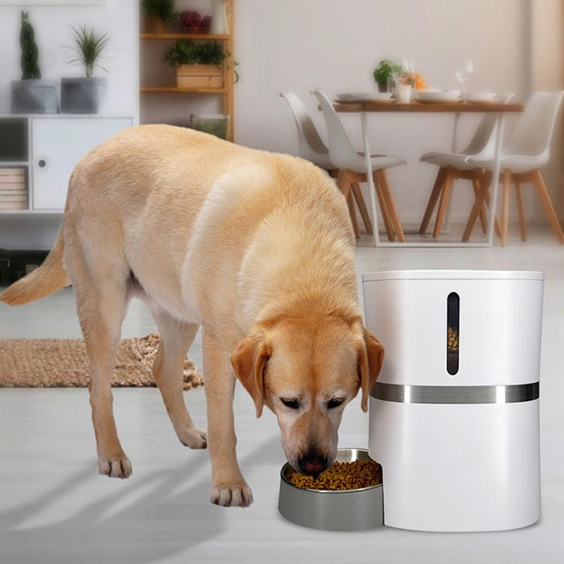 O1CN01oQP5Ed1b14qy4pKjM_!!6000