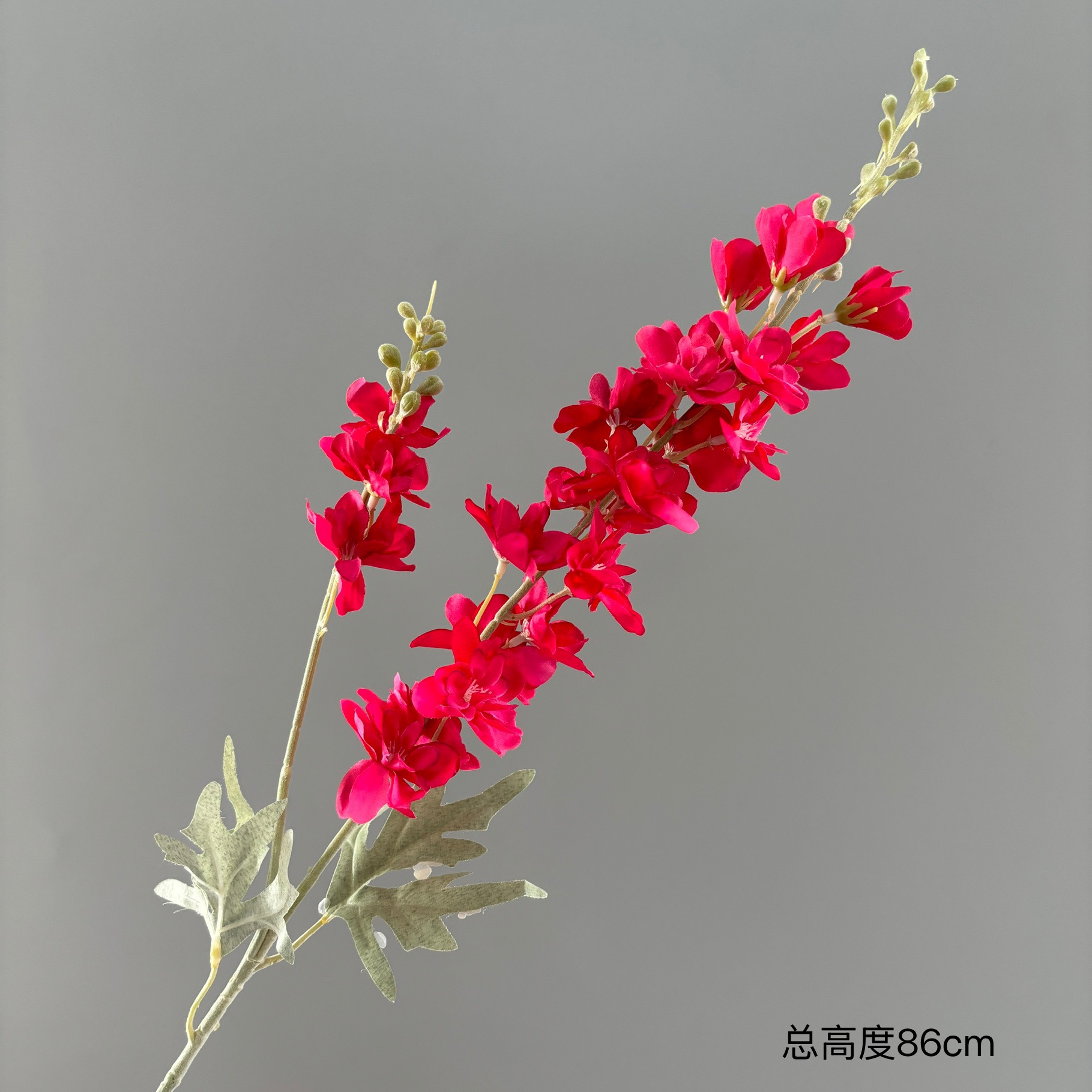 두 갈래로 몰려든 제비풀