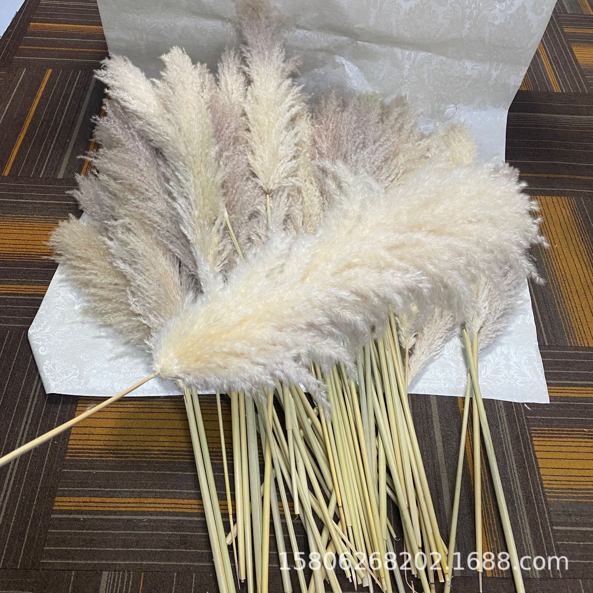 云南天然永生花米白色原色潘帕斯草花束小芦苇大芦苇蒲苇干花批发-阿里巴巴