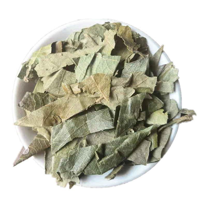 Dried Loquat Leaf Pi Pa Ye 枇杷叶 Traditional Chinese Herb for Herbal Tea and Decoction Sold by Weight in use