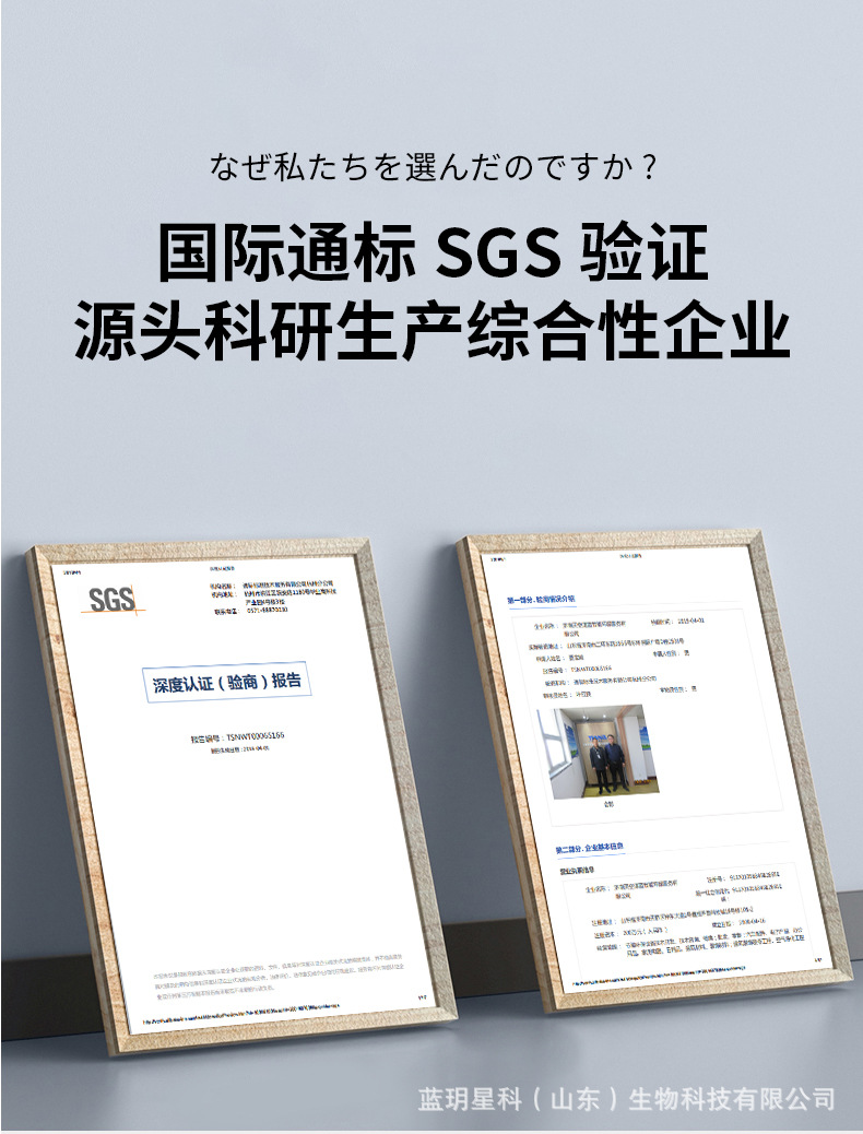 植酶型假球案清除剂