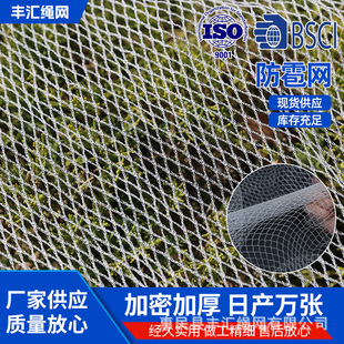 �����W���η������W������Bȫ�����O�����ш@���B�W���o�W