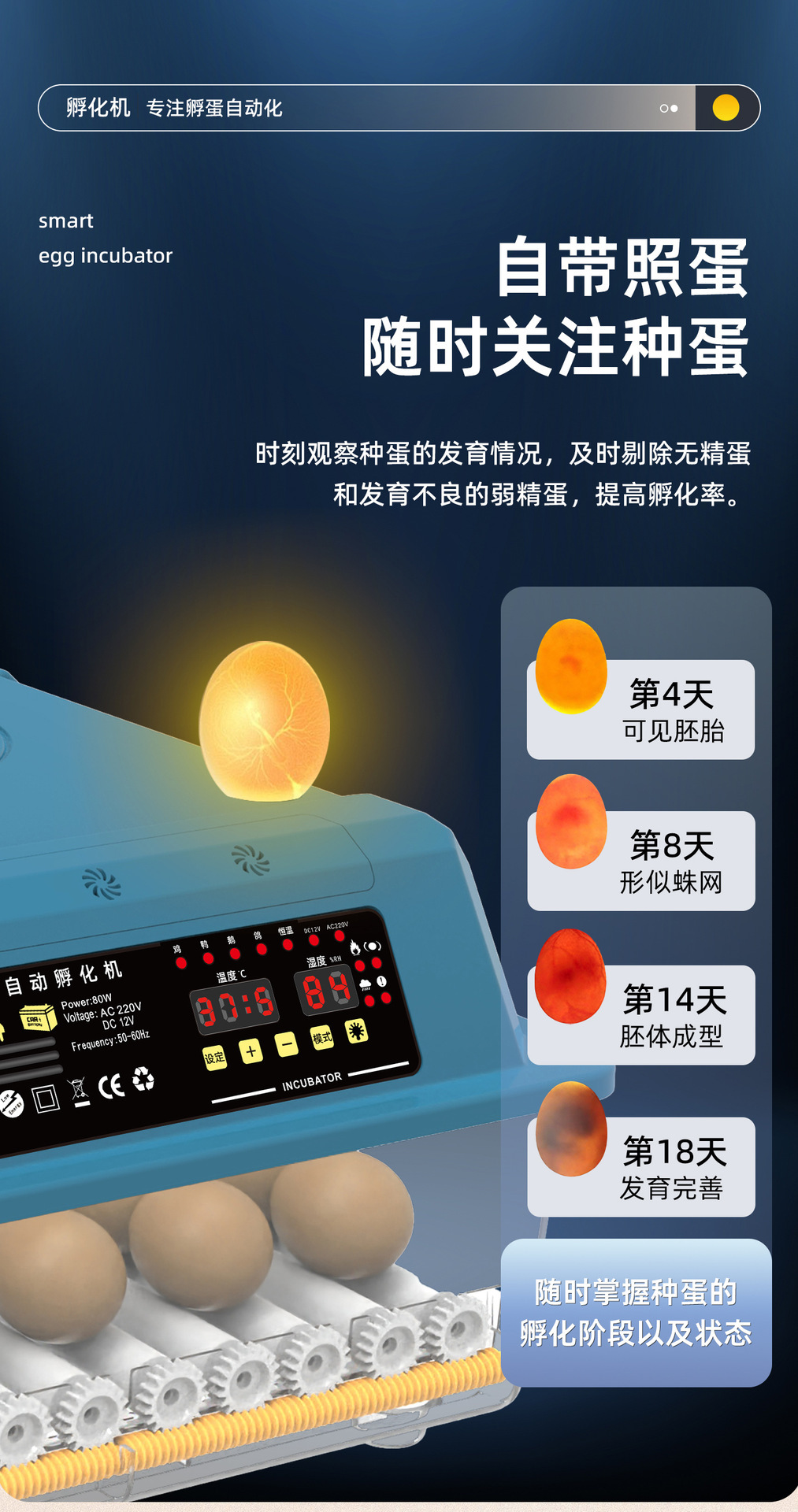 后页8