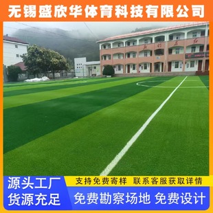 School-Filled Simulated Artificial Turf Multi-Functional Football Field Professional Football Club Training Institution