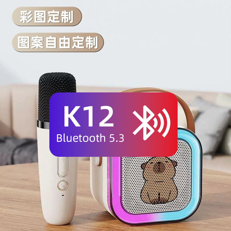 k12蓝牙音箱一体机卡拉便携唱歌迷你无线蓝牙蓝牙音响歌麦点歌家|undefined