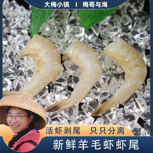 新鲜冷冻海捕鲜活单冻虾仁速冻海虾海鲜水产商用批发去壳