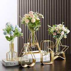 Creative pothos hydroponic plant glass transparent vase floral water pot ironware vessel desktop living room decoration