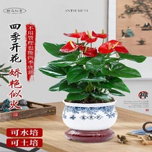 �t�����Ԏ������~����լֲ���׻��ļ��_���ܾGֲ���҃Ⱥ��B�͏d