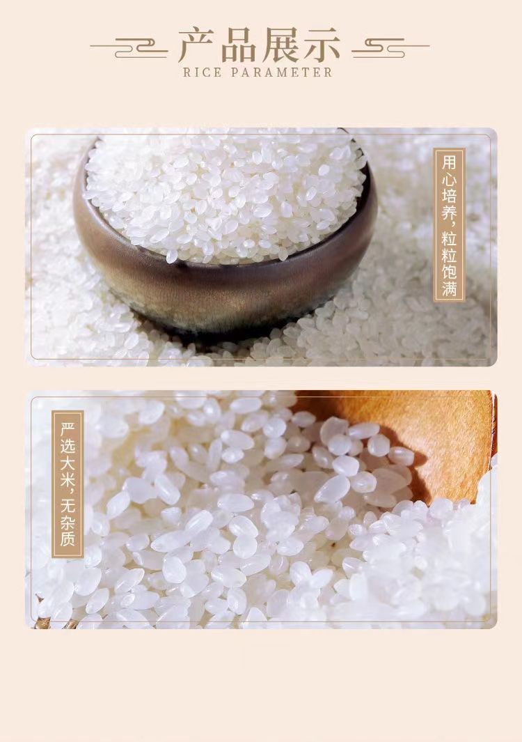 2f6fe744-e7d5-4ade-9b6e-b4a9048164db.jpe