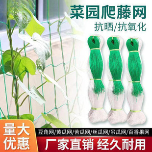���پW�r��ֲ��ɽș�S���㶹��϶��ǽz�ϵ��ϰ���������W�Nֲ�W