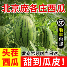 北京大兴庞各庄西瓜L600手撕西瓜麒麟迷你小吊瓜新鲜水果礼盒整箱