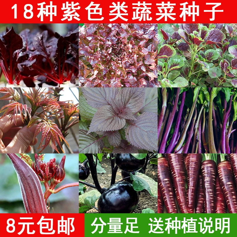 Семена периллы, салата, амаранта, красного борща, бамии, помидора, моркови, фиолетовой капусты, лука-порея, фиолетовых овощей в горшках