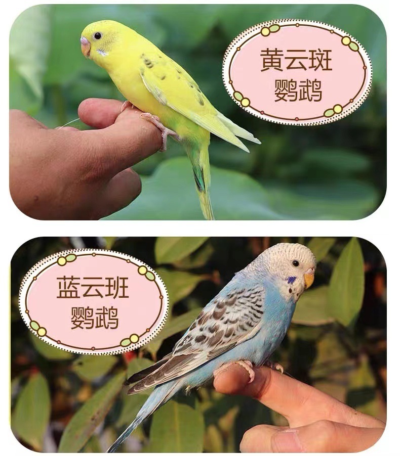 17f7792c-36f2-464e-b395-1f40fca683bb.jpe