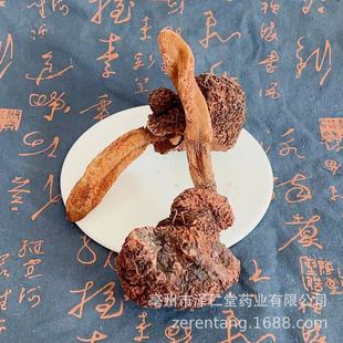 �mꖲ� ��ș�����l �mꖲ��ݲ��ݾƴ�����ɐ������������Iꖲ�