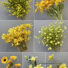 ��c�������Sɫ��Y����b��Ļ�Y�ò��üٻ�����·���廨