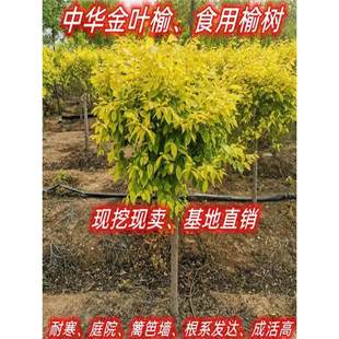 ���A���~�ܘ���e��ͥԺ�����ͺ��L���G��������S���������ܴ���