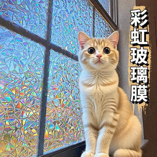 �����NĤԡ�Ҵ������QҕĤ͸�ⲻ͸���[˽Ĥ����ĥɰ�o늲����N��