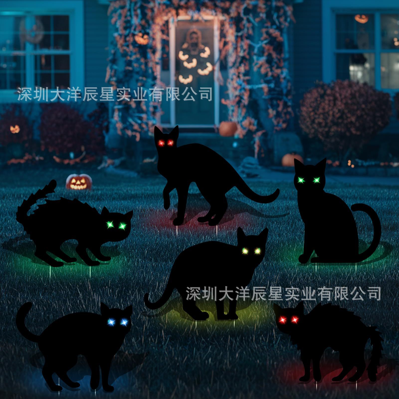 할로윈 검은 고양이 17